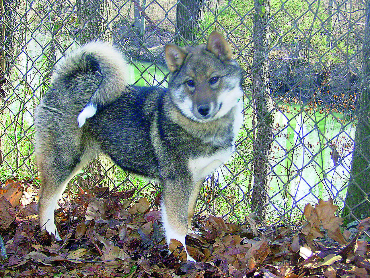 Изображение Фото: Антон Журавков 