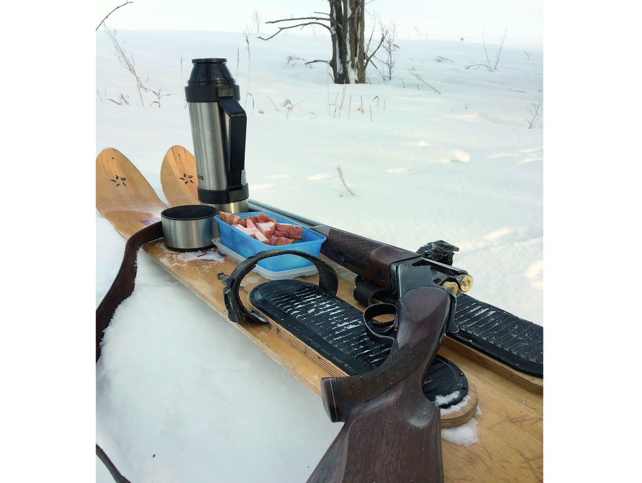 Изображение Фото: Артем ЦИЛИН  