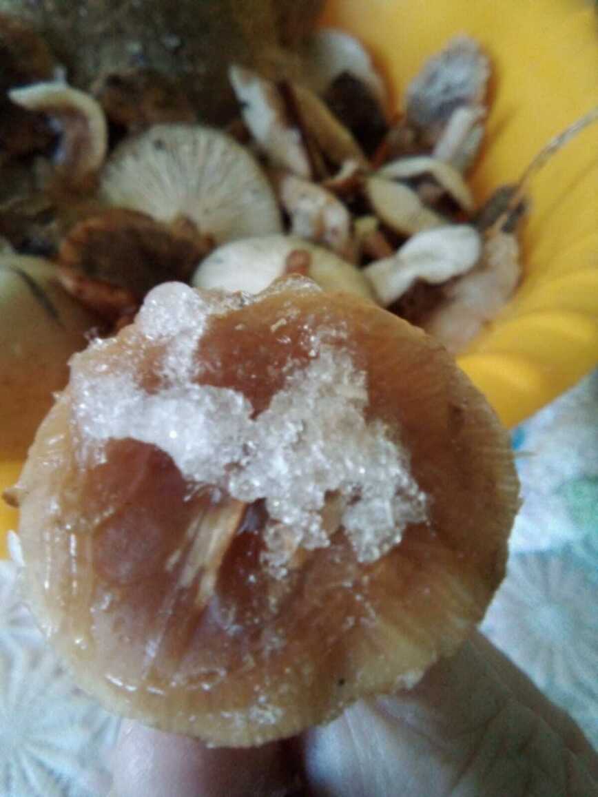 Изображение Фото автора 