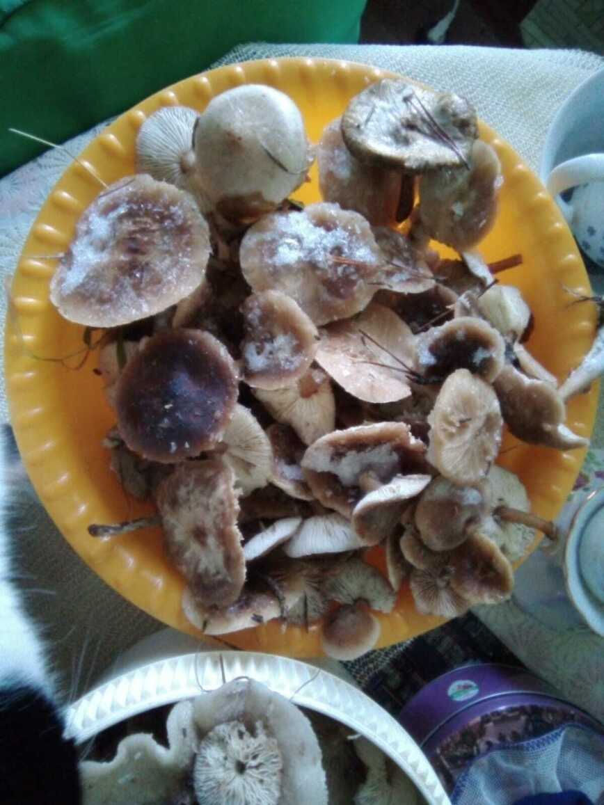 Изображение Фото автора 