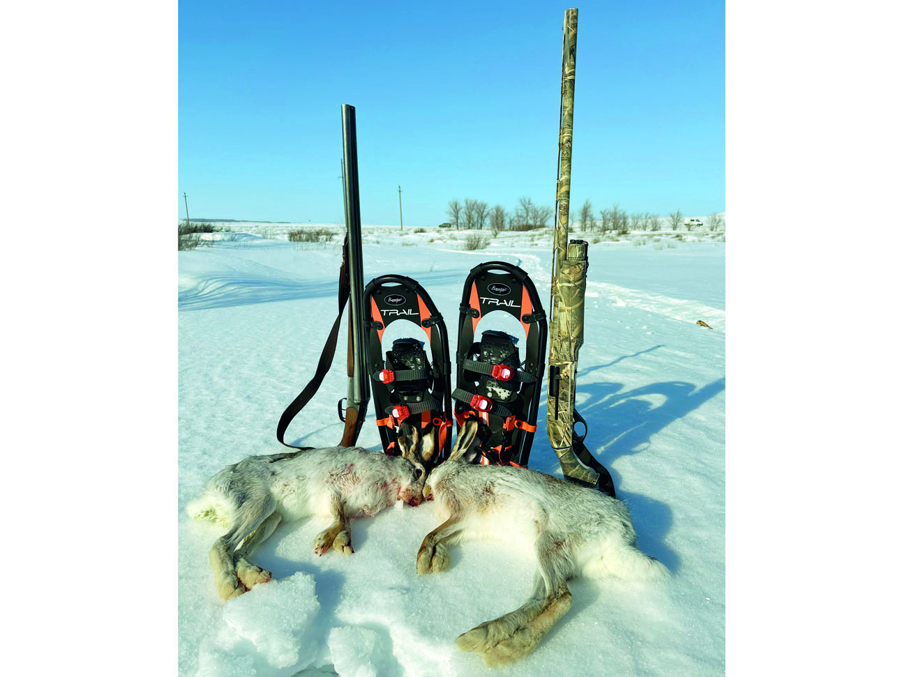 Изображение Фото: Артем ЦИЛИН  