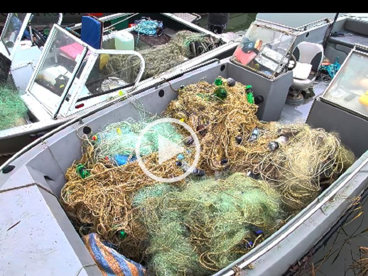 В борьбе с ростовскими браконьерами успешно участвуют БПЛА