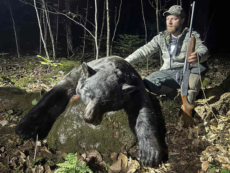 На родине Стивена Кинга добыт рекордный черный медведь (фото)