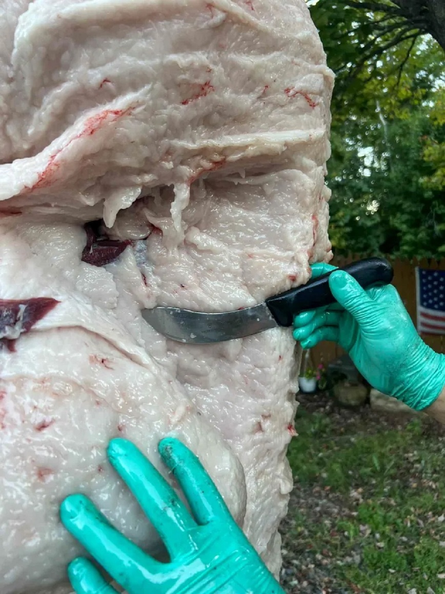 Изображение Фото: outdoorlife.com 