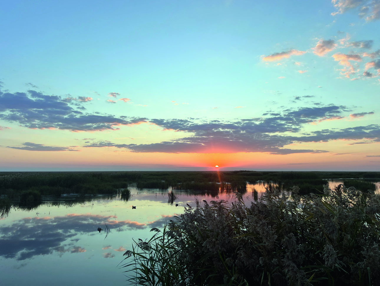 Изображение Не только количество птицы, но и безумно красивые пейзажи приводили нас в неописуемый восторг. Фото: Александр МОРДАНЕВ