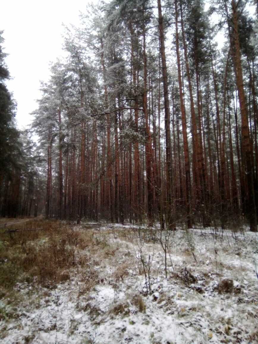 Изображение Фото автора 