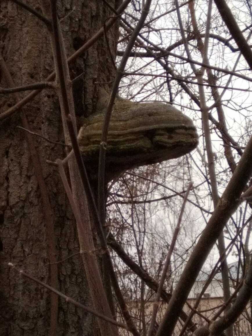 Изображение Фото автора 