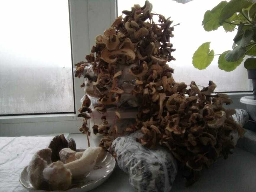 Изображение Фото автора 