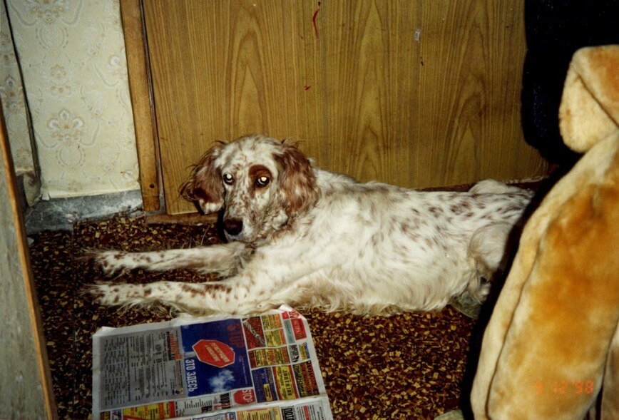 Изображение Фото автора 