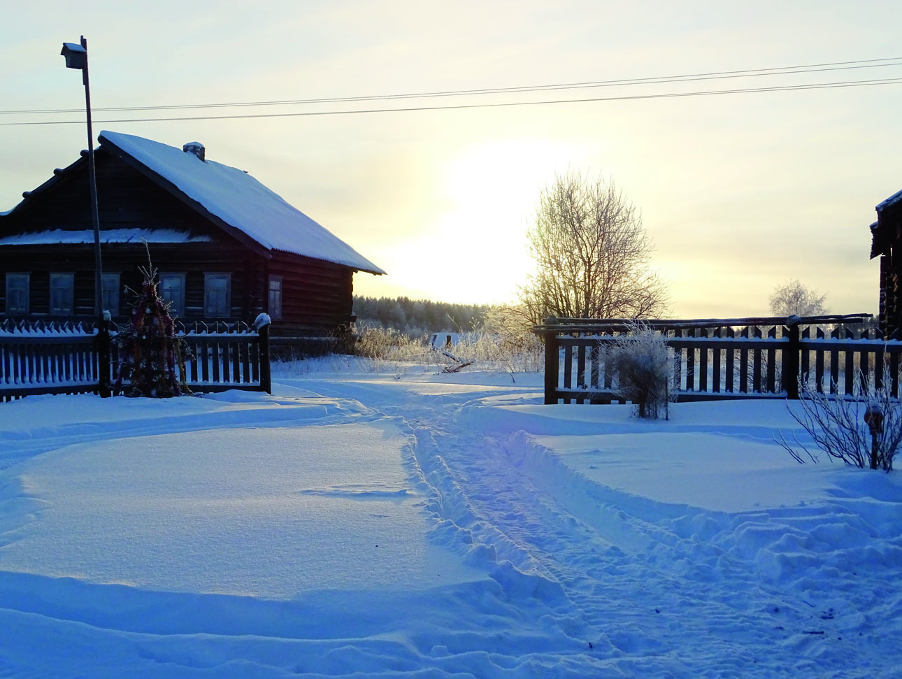 Изображение Опытному следопыту не составит труда увидеть полную картину произошедшего и протропить злоумышленников до самого дома. ФОТО СВЕТЛАНЫ БУРКОВСКОЙ 