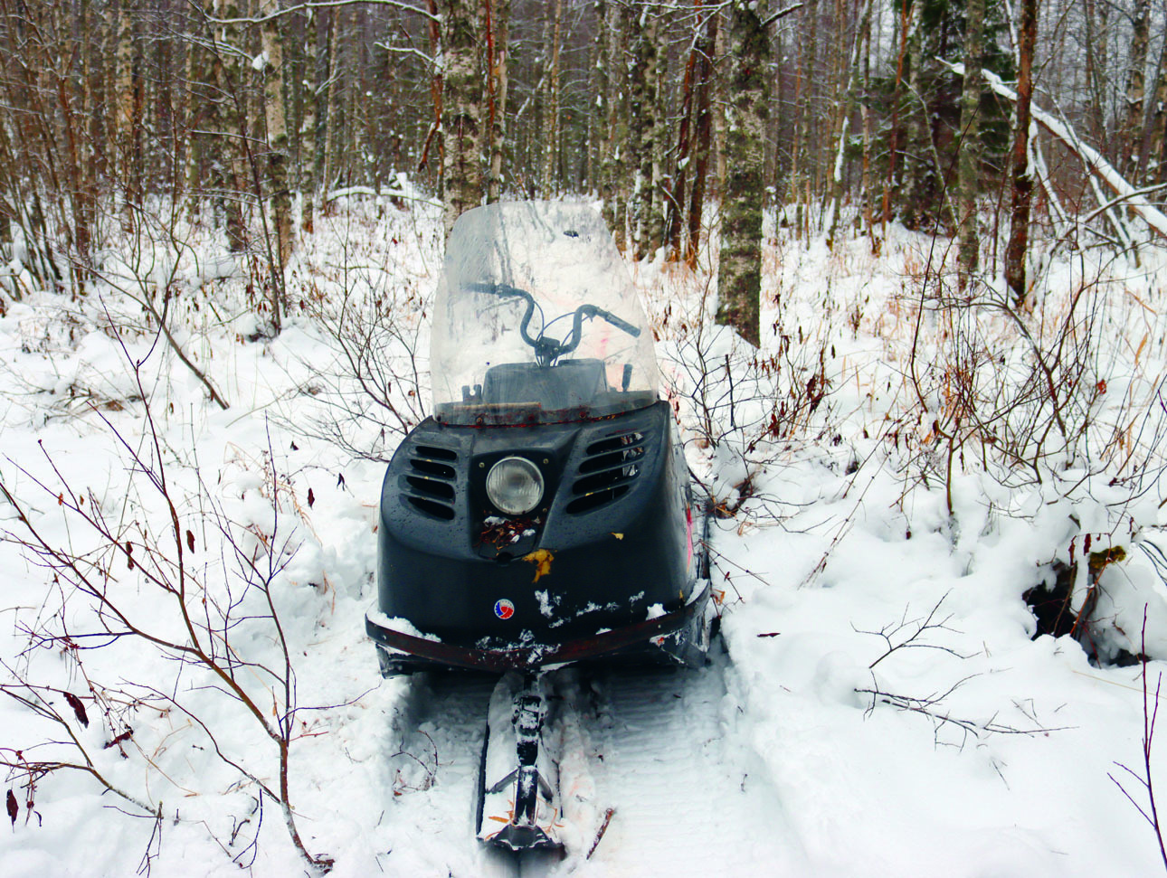 Изображение ФОТО СВЕТЛАНЫ БУРКОВСКОЙ 