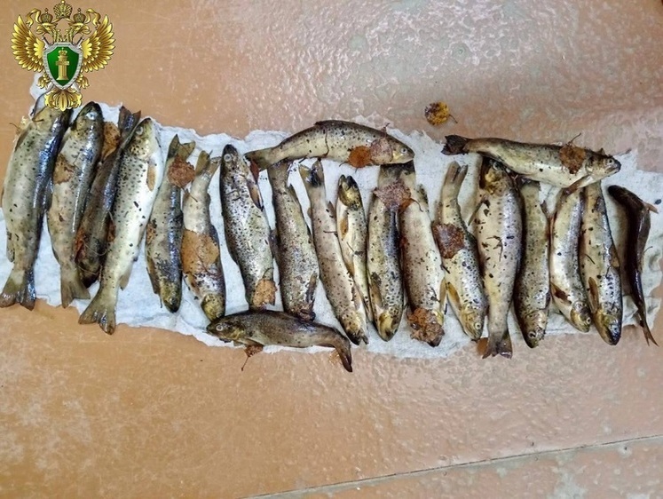 За рыбалку в нацпарке нарушитель отработает 200 часов