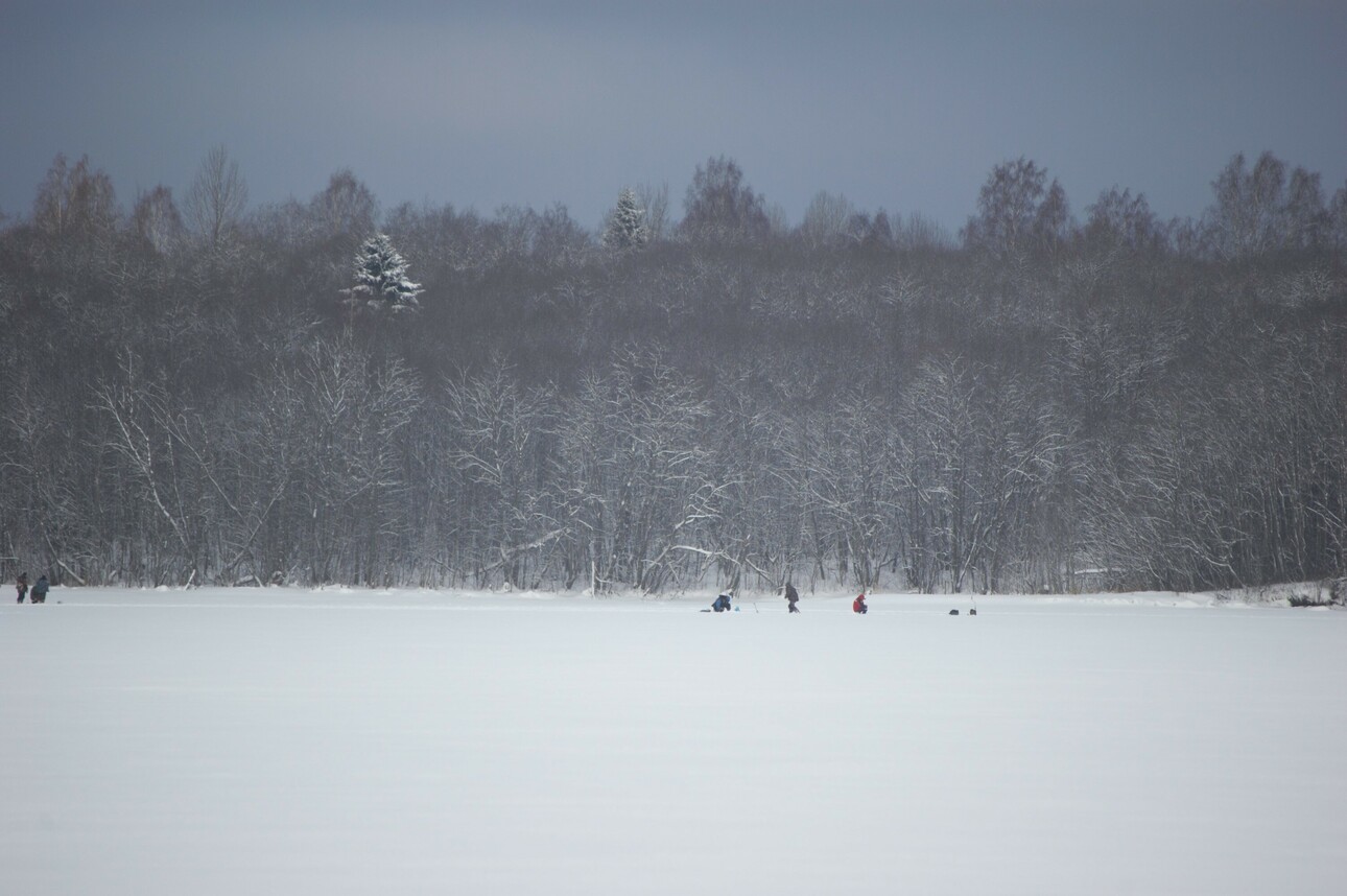 Изображение Фото: Яншевского Андрея. 