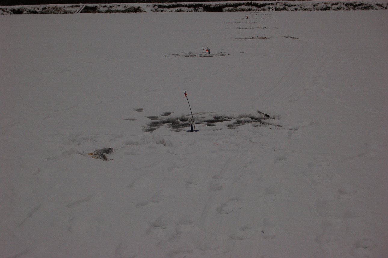 Изображение Фото: Яншевского Андрея. 