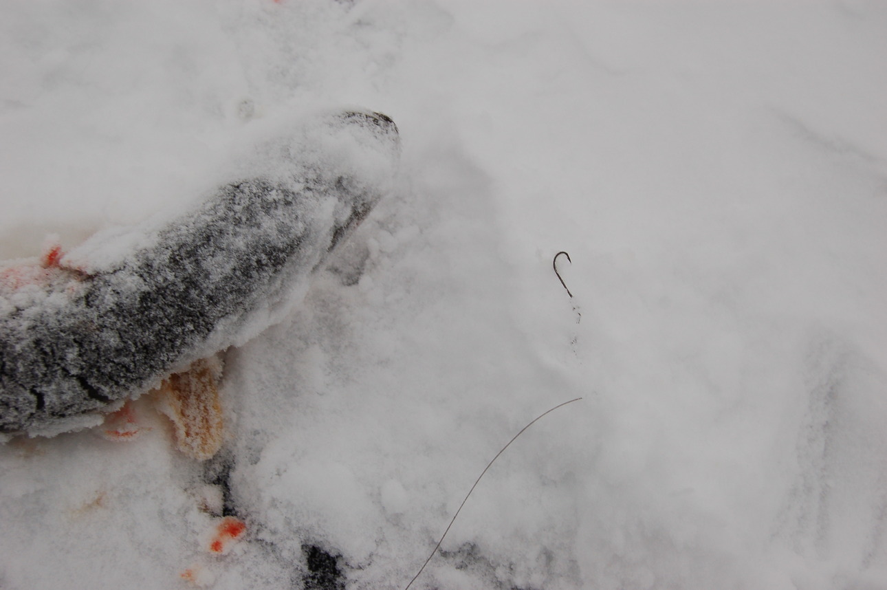 Изображение Фото: Яншевского Андрея. 