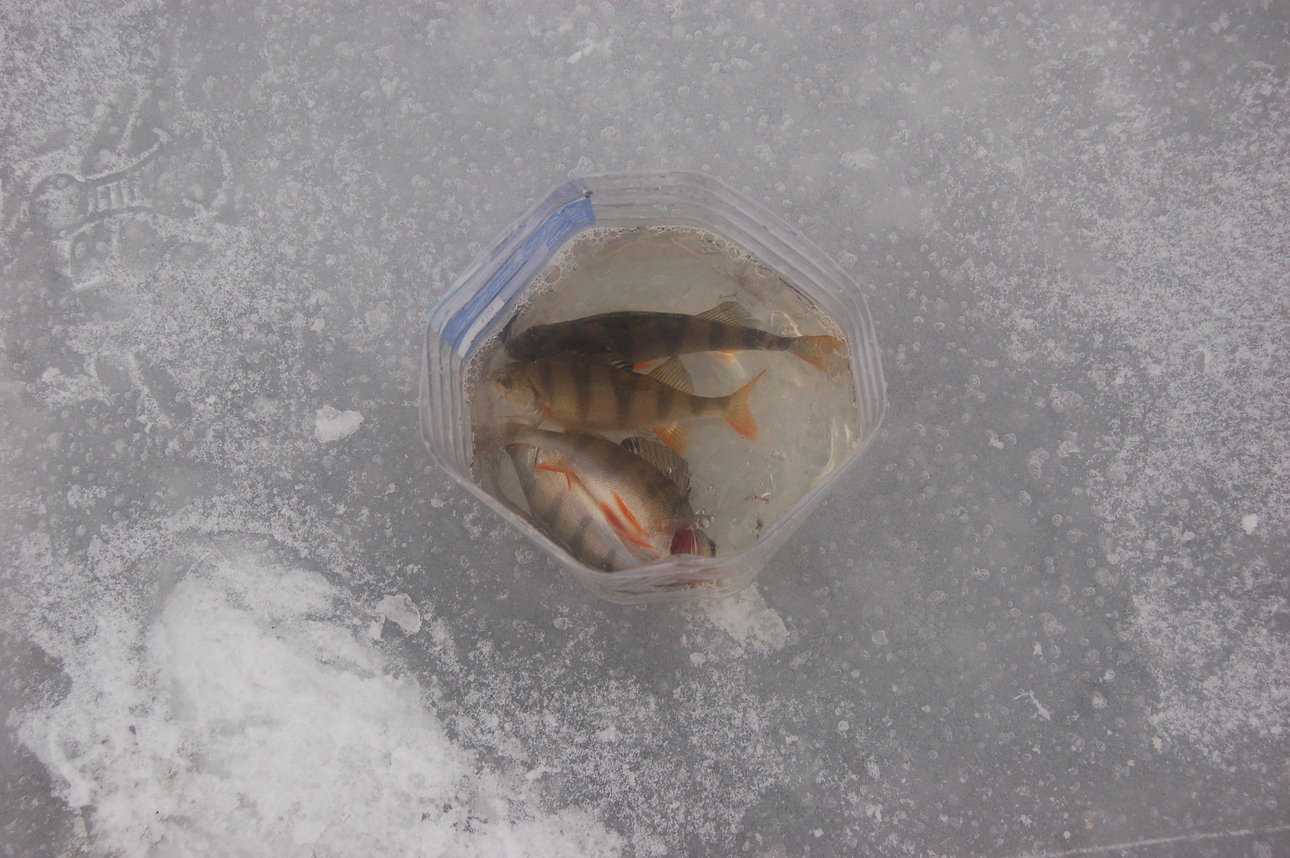 Изображение Фото: Яншевского Андрея. 