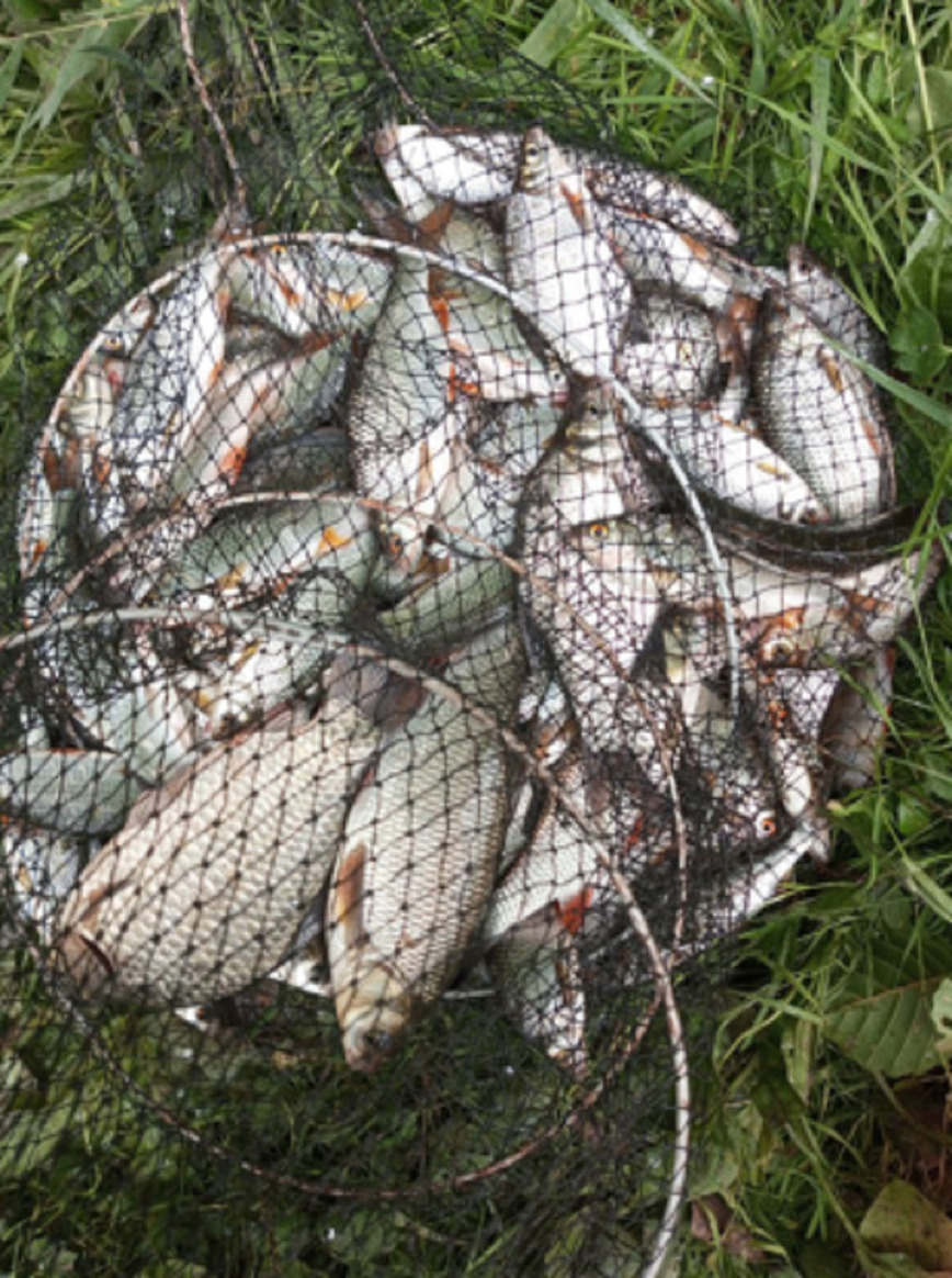 Изображение Фото Андрея Гусева 