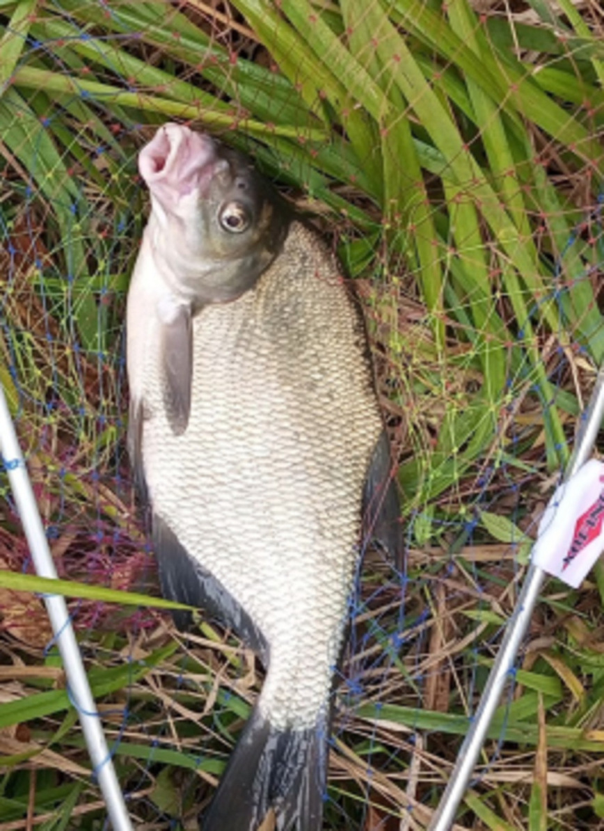 Изображение Фото Андрея Гусева 