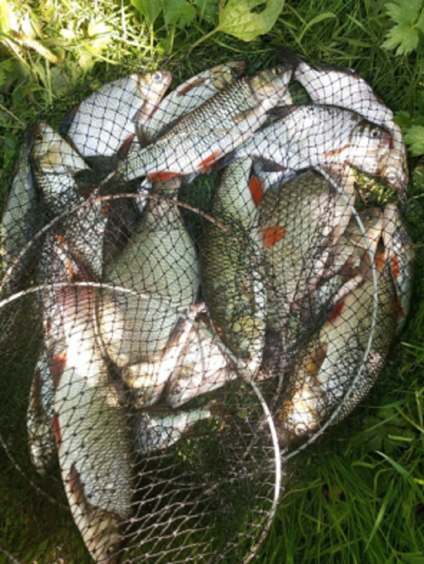 Изображение Фото Андрея Гусева 