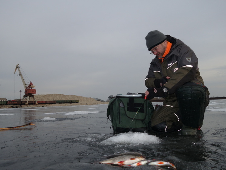За плотвой с безмотылкой? А почему бы и нет!