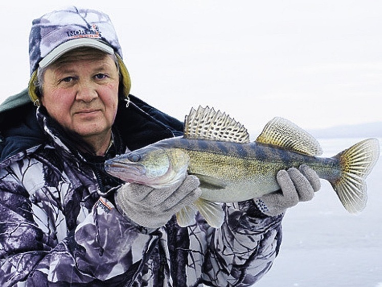 За подмосковным перволедным судаком