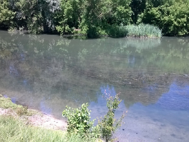 За вред нанесенный реке Оскол осталось заплатить 127,6 миллионов