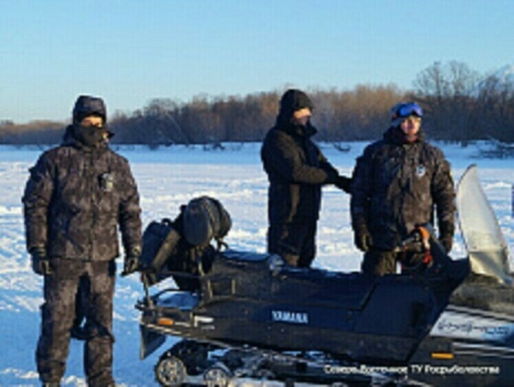 На Камчатке обстановка с браконьерством спокойная