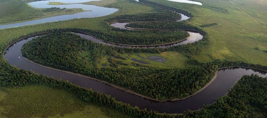 Изображение Фото автора 