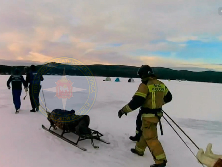 Чем опасен безопасный лед