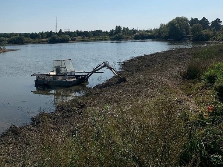 Жителей Подмосковья очень волнует чистота водоемов
