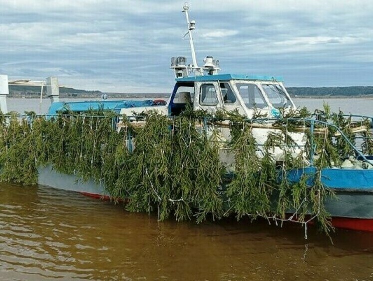 Новогодние елки нашим рыбам не нужны