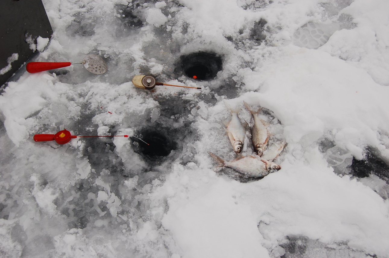 Изображение Фото: Яншевского Андрея. 