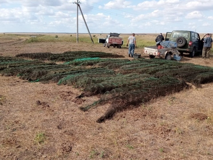 Цимлянский отдел рыбоохраны за год инициировал 62 уголовных дела