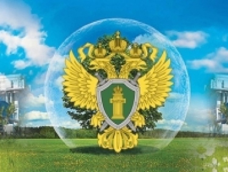 Река Кума используется в качестве сточного коллектора