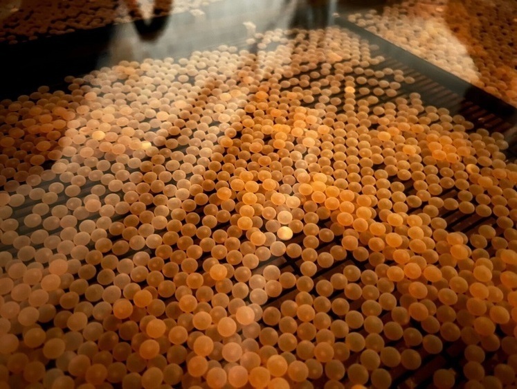 Северный Главрыбвод улучшает материально-техническую базу