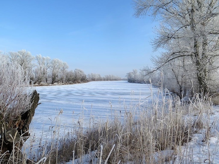 Первый лед и новогоднее настроение