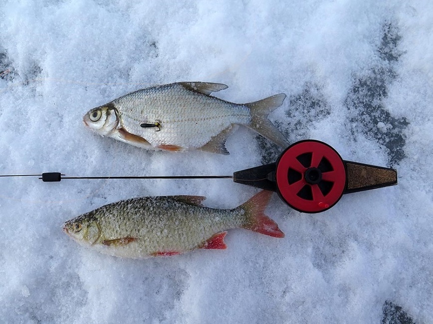 Изображение Фото: Коломийца Алексея. 