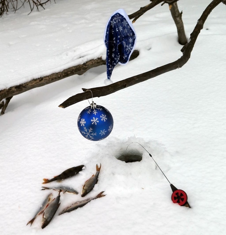 Изображение Фото: Коломийца Алексея. 