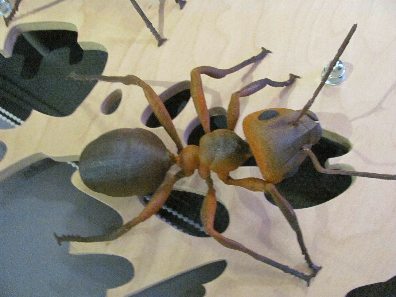 Изображение Фото автора