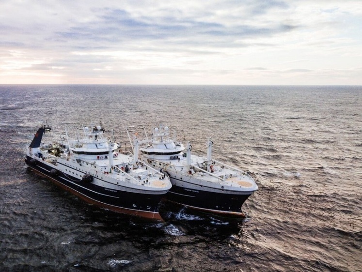 Искусственный интеллект помогает найти промысловую рыбу