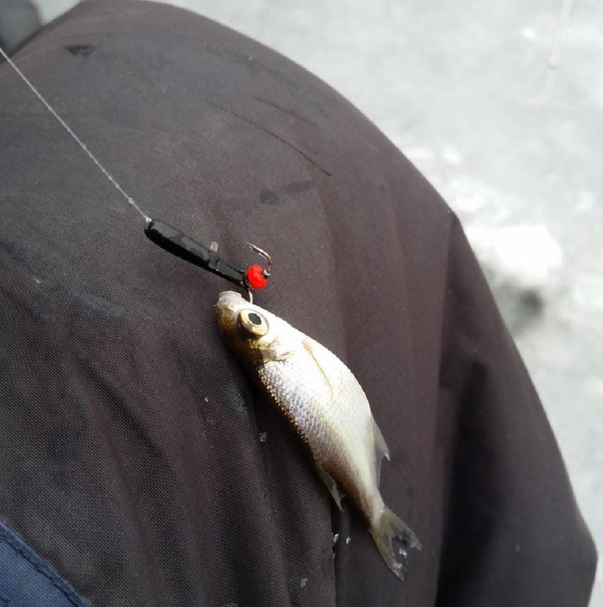 Изображение Фото: Коломийца Алексея. 