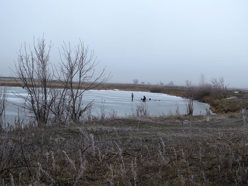 Изображение Фото: Коломийца Алексея. 