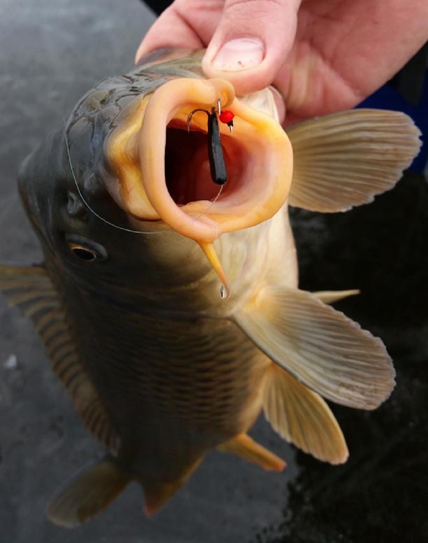 Изображение Фото: Коломийца Алексея. 