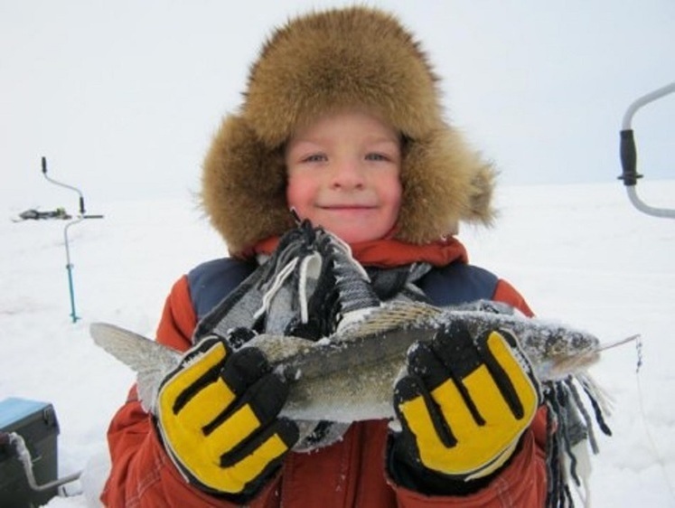 Чем и как лучше ловить рыбу