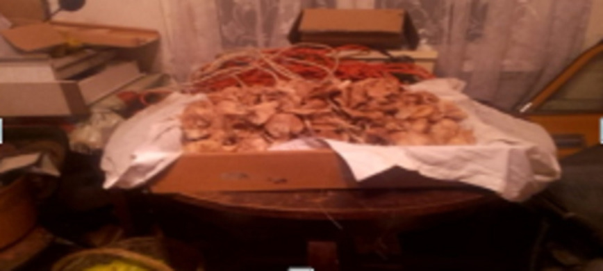 Изображение Фото автора 