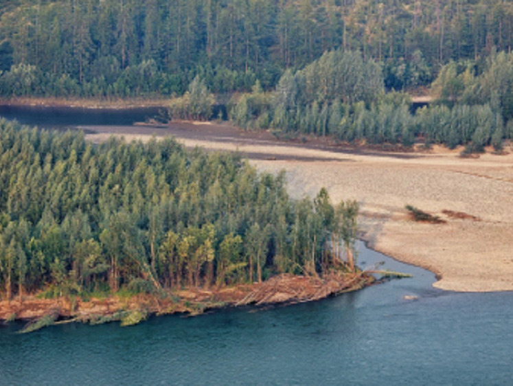 На Чукотке запланировали авиаучет лососей
