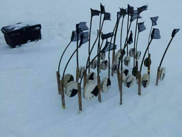 Жерлицы конструкции Елизарова