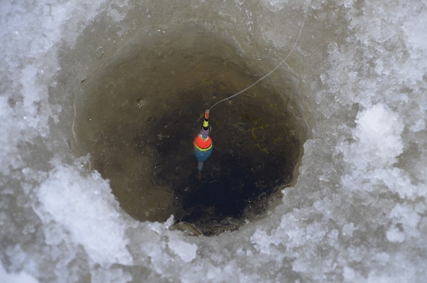 Изображение Поплавок для ловли сига должен быть очень чувствительным. Фото: Шеляга Геннадия. 