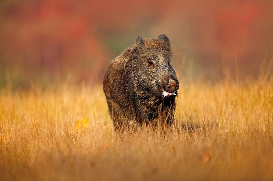 Изображение Фото: 1zoom.ru/kycb