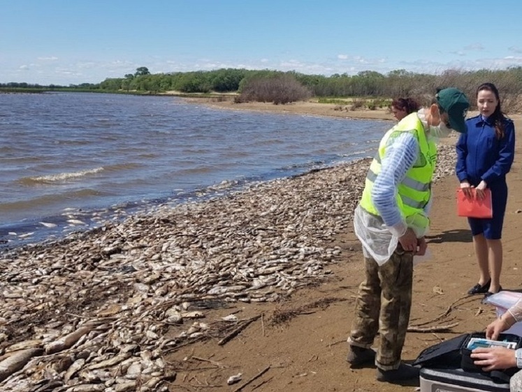 Браконьеры не лидируют в списке врагов рыбы